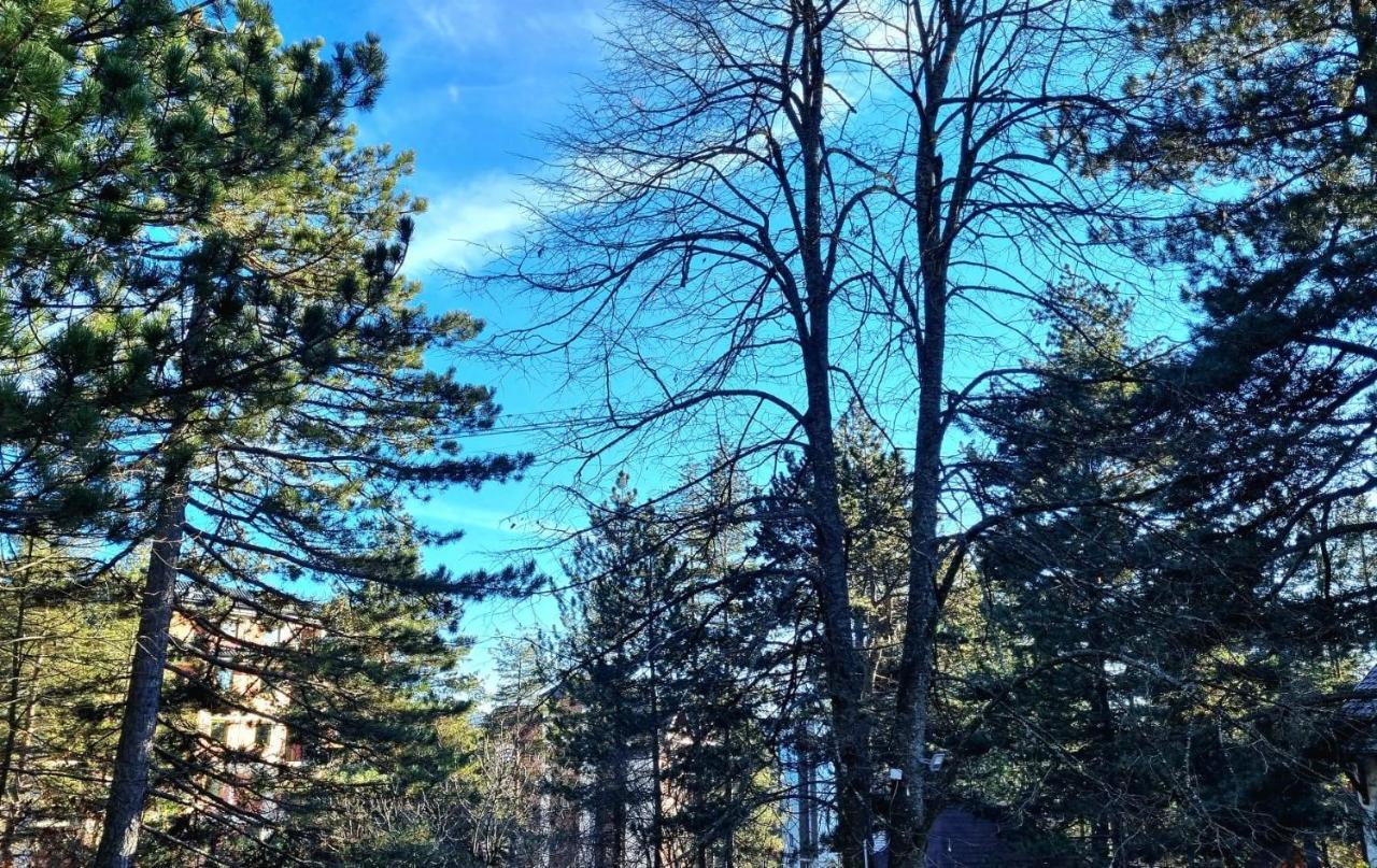 Vila Lucic Zlatibor Exteriör bild