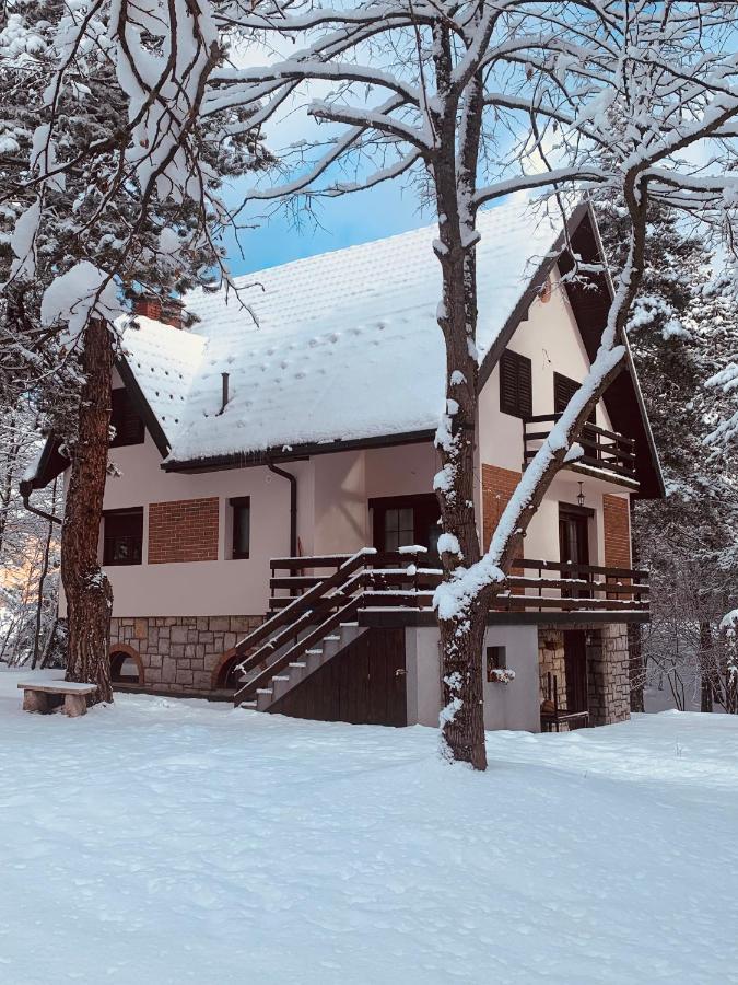 Vila Lucic Zlatibor Exteriör bild