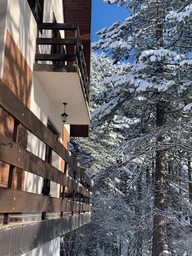 Vila Lucic Zlatibor Exteriör bild