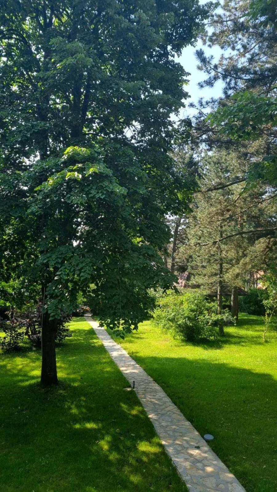 Vila Lucic Zlatibor Exteriör bild