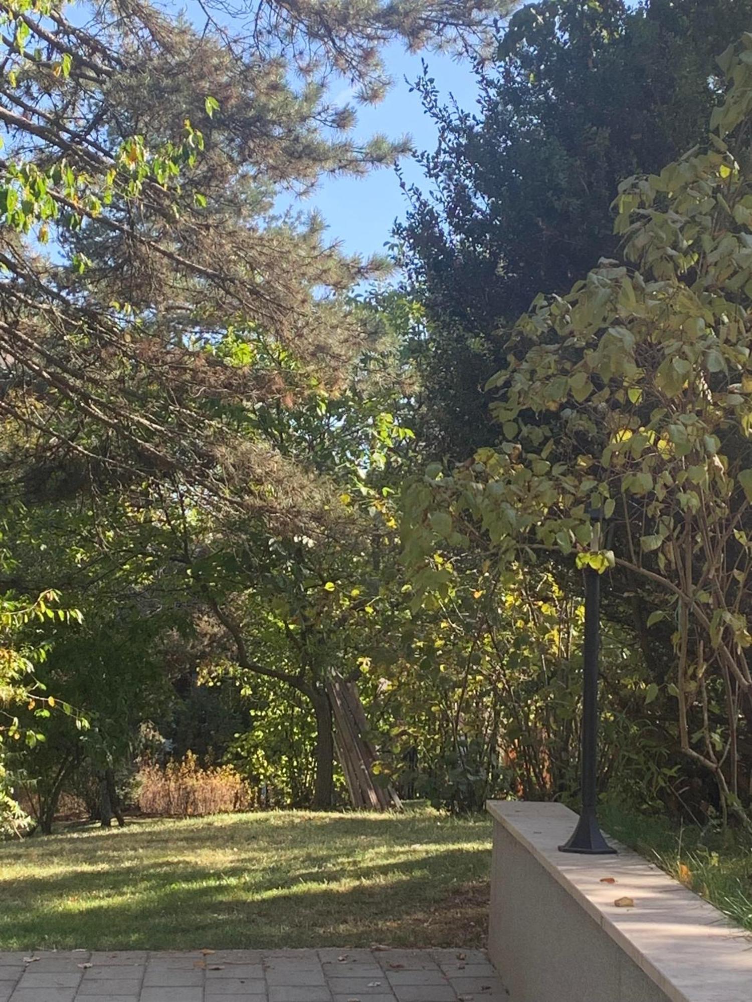 Vila Lucic Zlatibor Exteriör bild